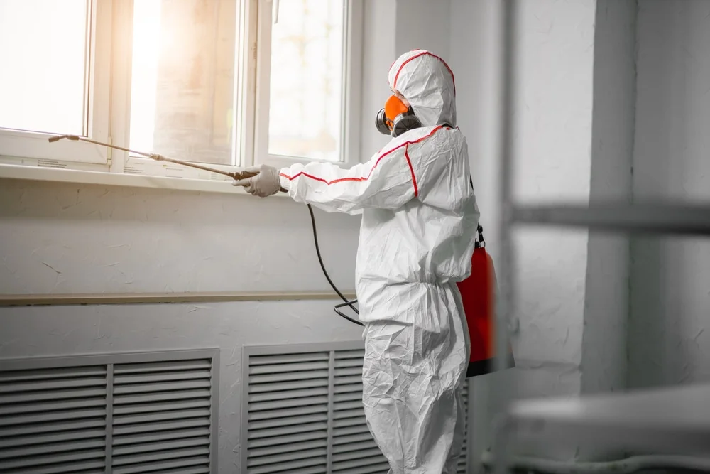 Professional mold remediation services in Edgewater, NJ